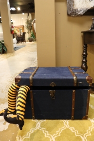 Petite Storage Trunk